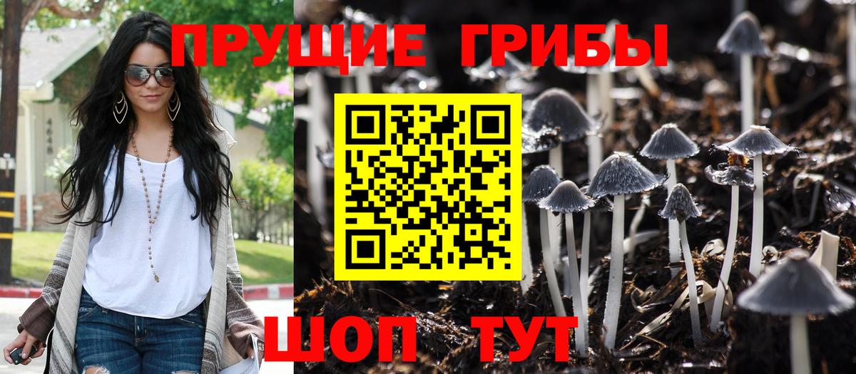 Меф   COCAIN  ЭКСТАЗИ  Вход с VPN  Наркошоп  Павлово  Марихуана  ГАШ 
