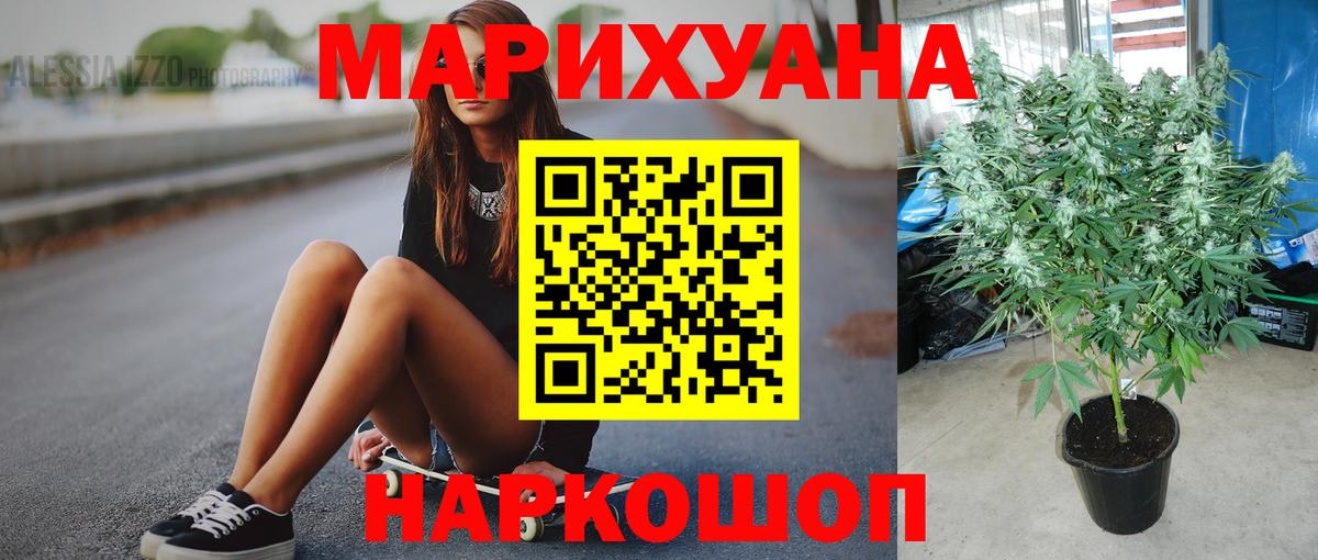 Канабис планчик Павлово